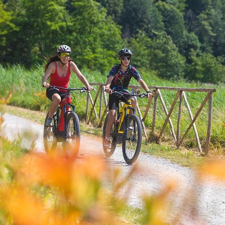 I Laghee Casette Breva E Tivano -Garden-Parking-Lake View - Bike Friendly Holiday House Colico Exterior photo
